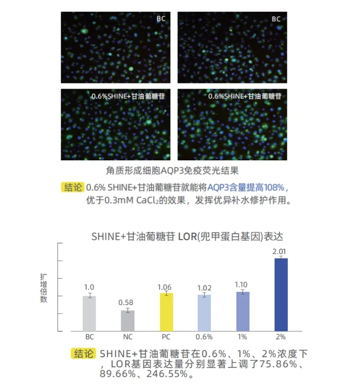 微信截图_20240619144559.png